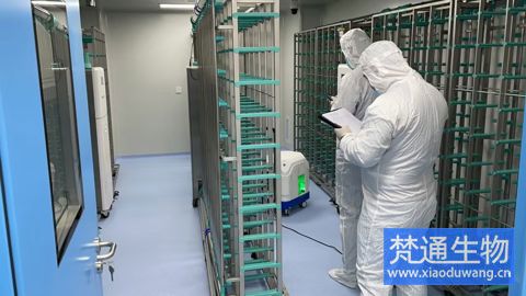 SPF實驗動物房消毒